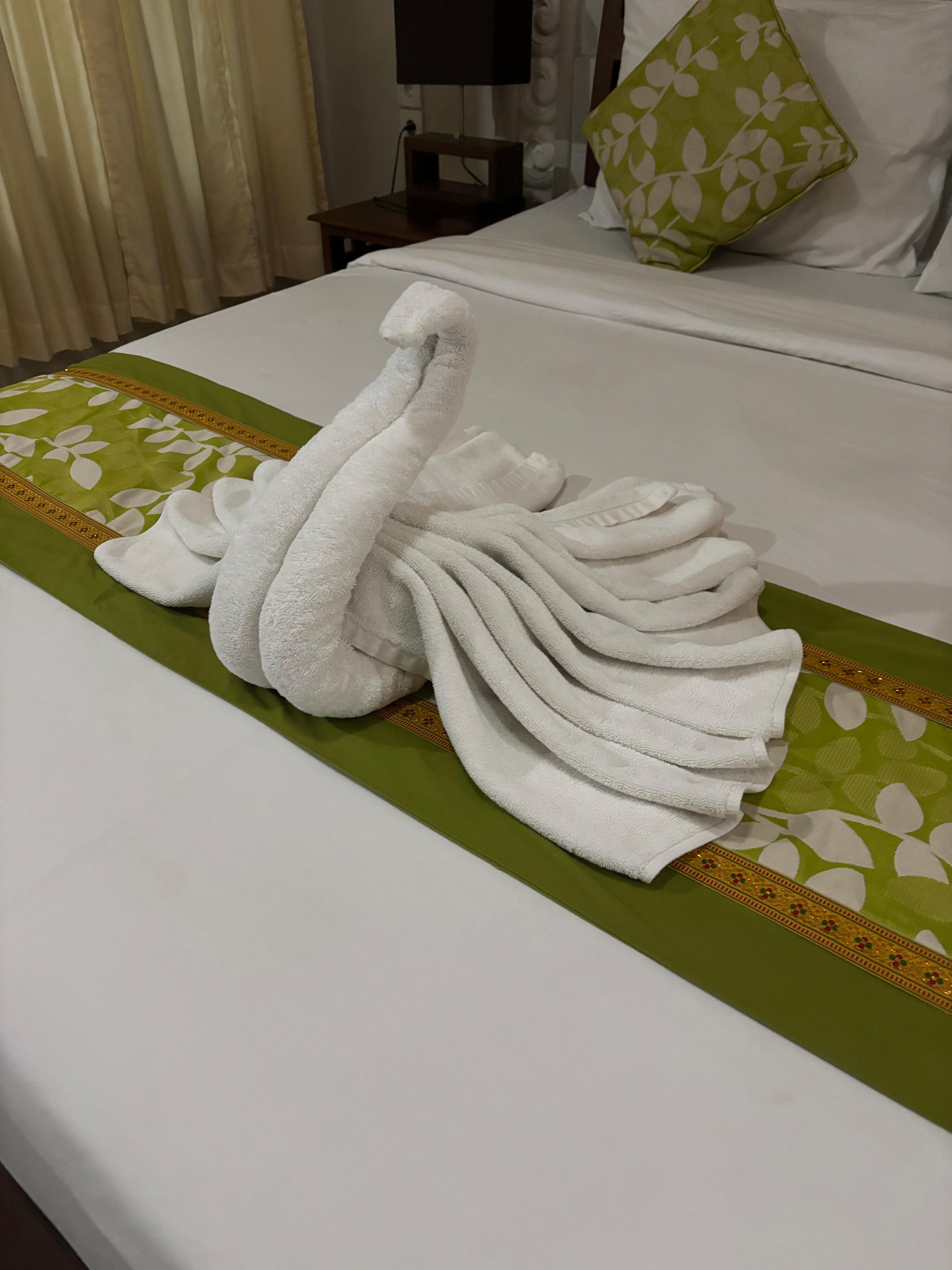 Towel art