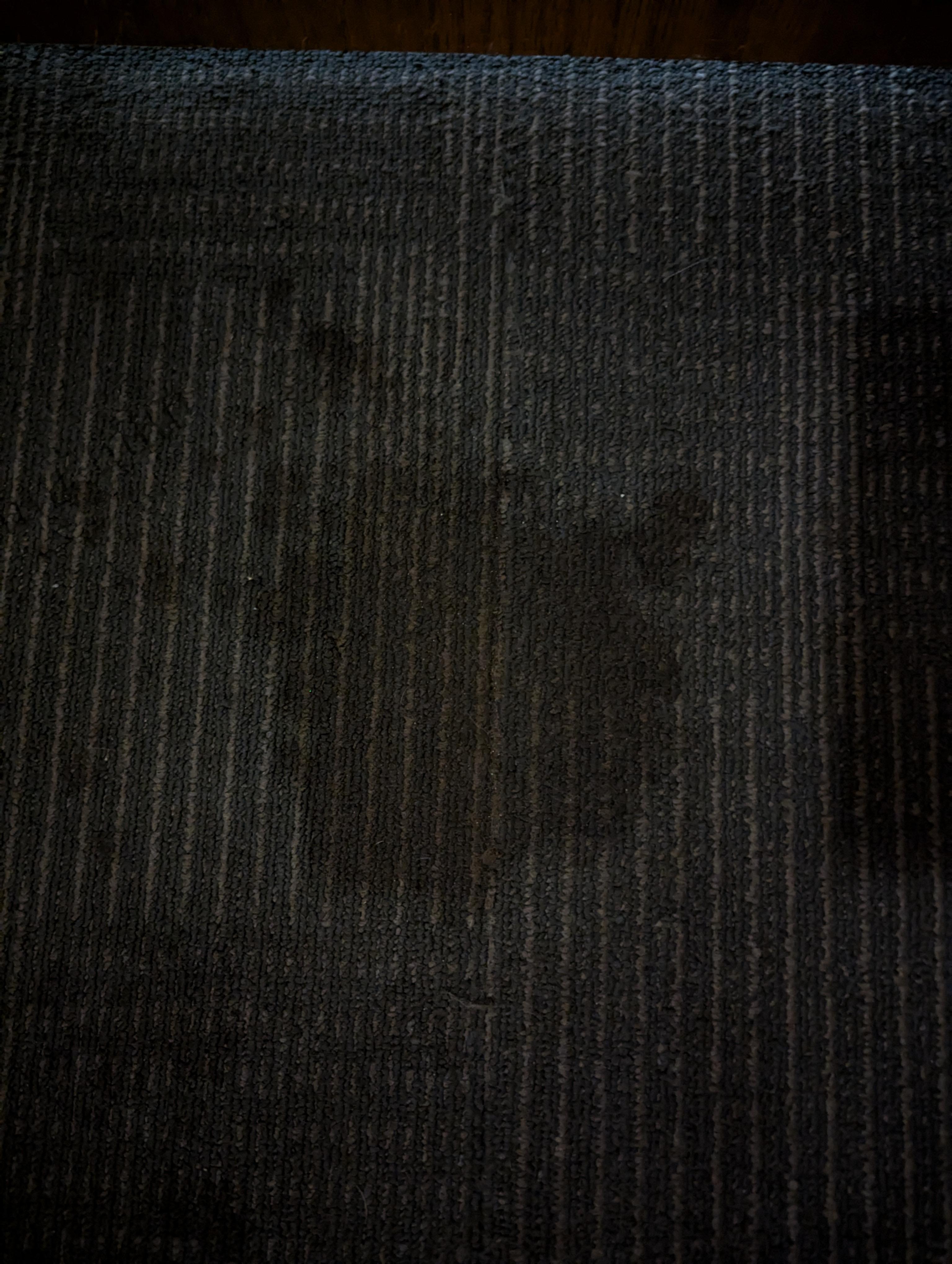 Stain in front of door 