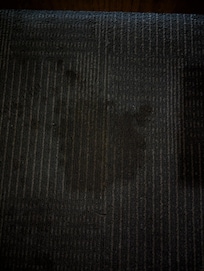 Stain in front of door