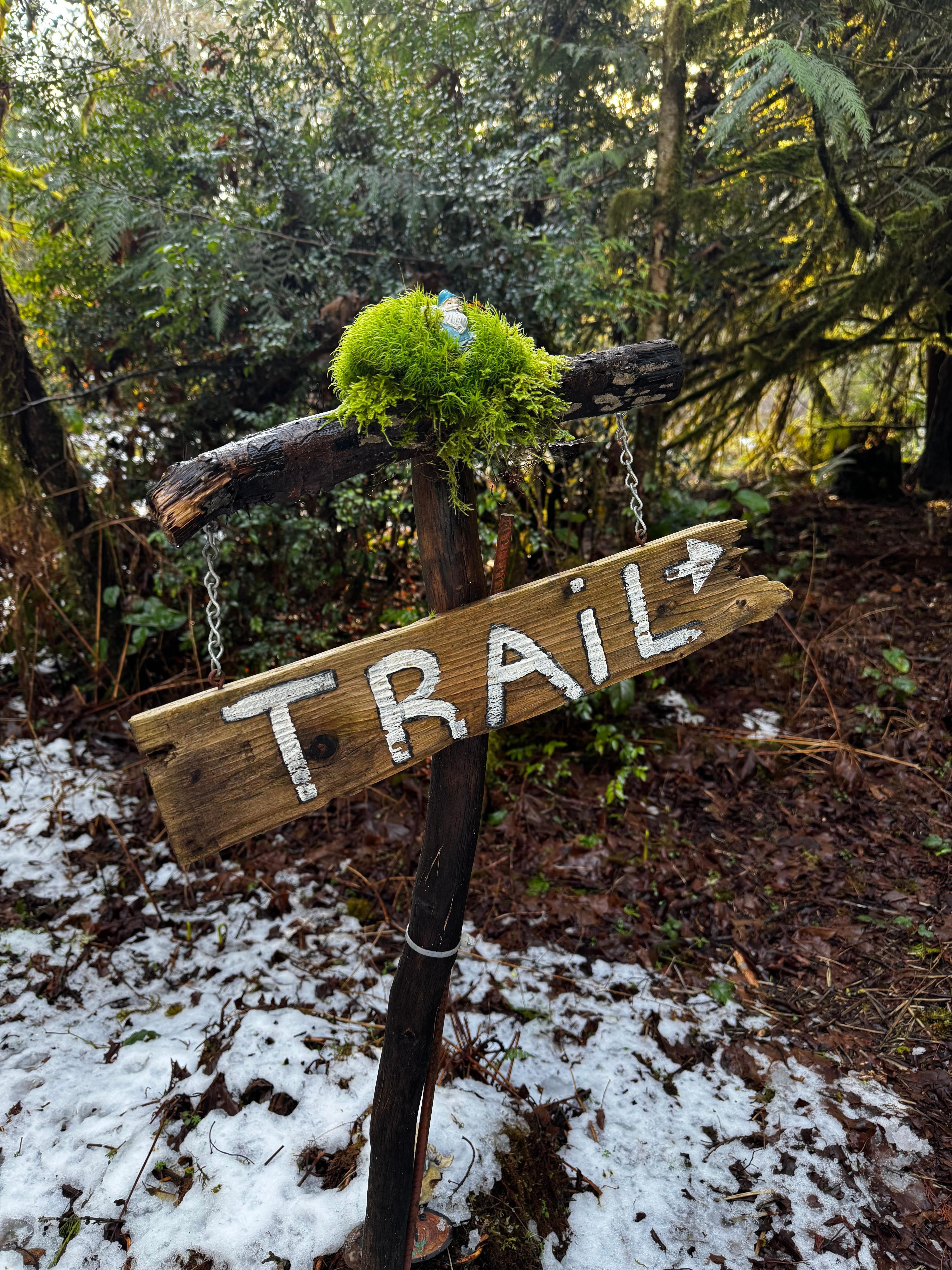 One of the many trails on the property