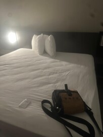 No bedding, I have a video of the fact that the toilet won’t flush, but I can’t get it to load here. This was the dirtiest nastiest place I’ve ever seen and then when we went back to the office, we had been gone five minutes and he blocked the door.