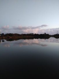 View from the dock and deck!