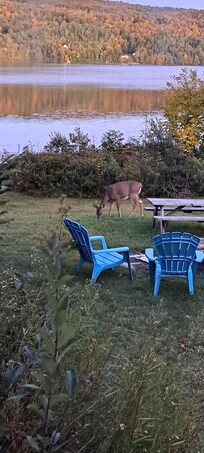 De la belle visite!!