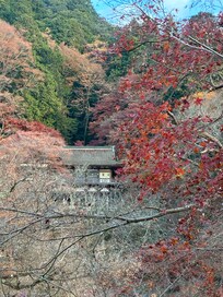部屋からの眺め