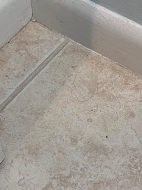 Every corner had dirt and hair and behind the doors. Just all over.