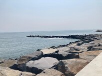 View from the boardwalk nearby.