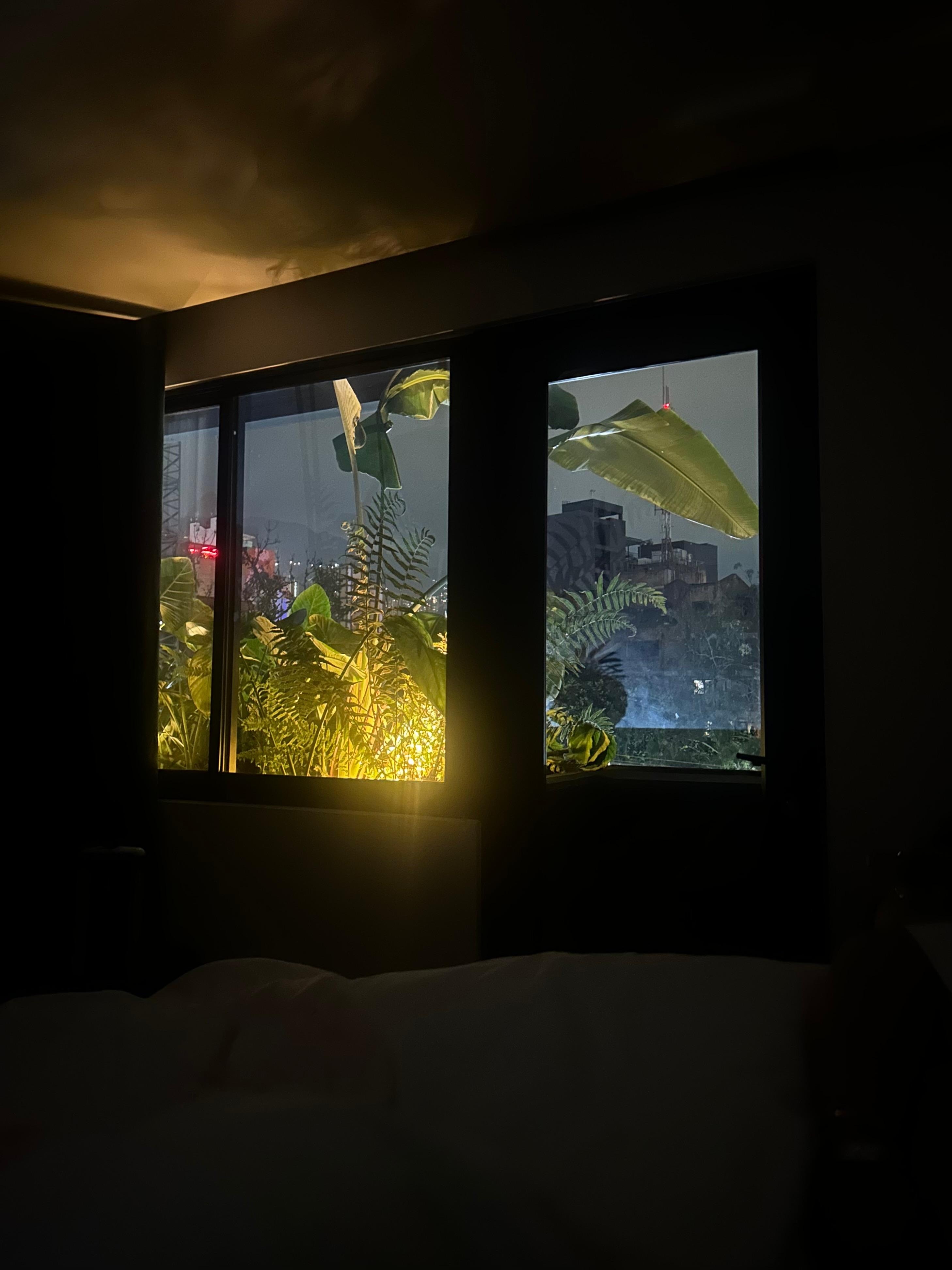 Vista hermosa de la habitación 