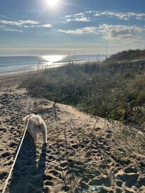 This is the dune in front of the house