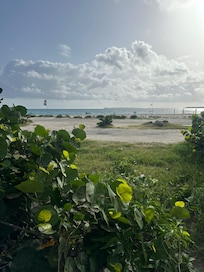 View from ground level terrace