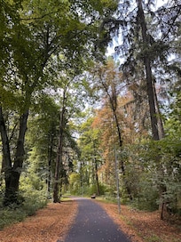 Le parc
