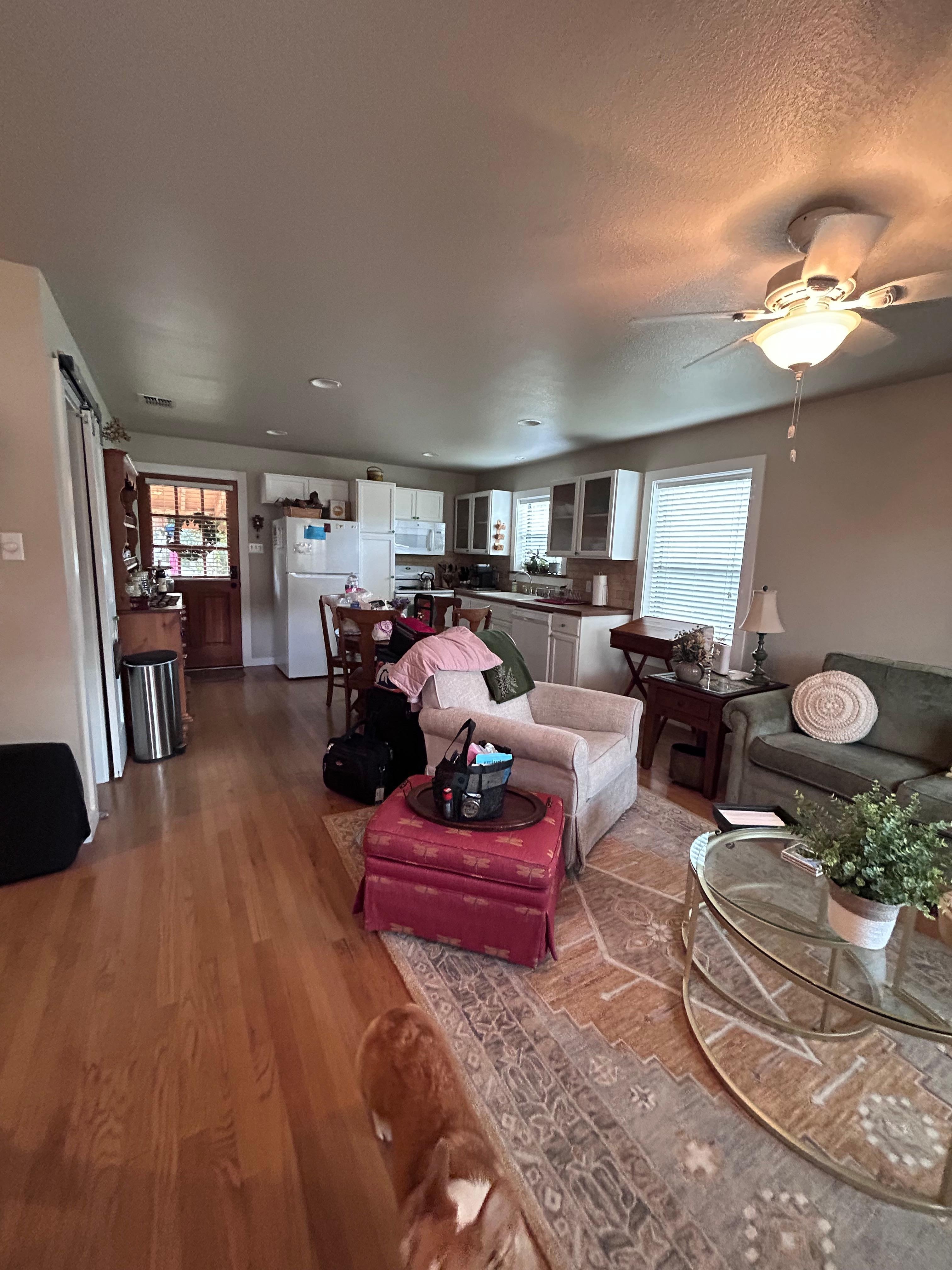 Living area and kitchen.