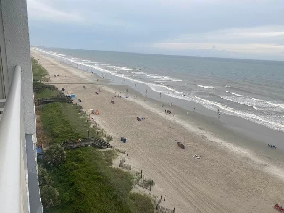 The view