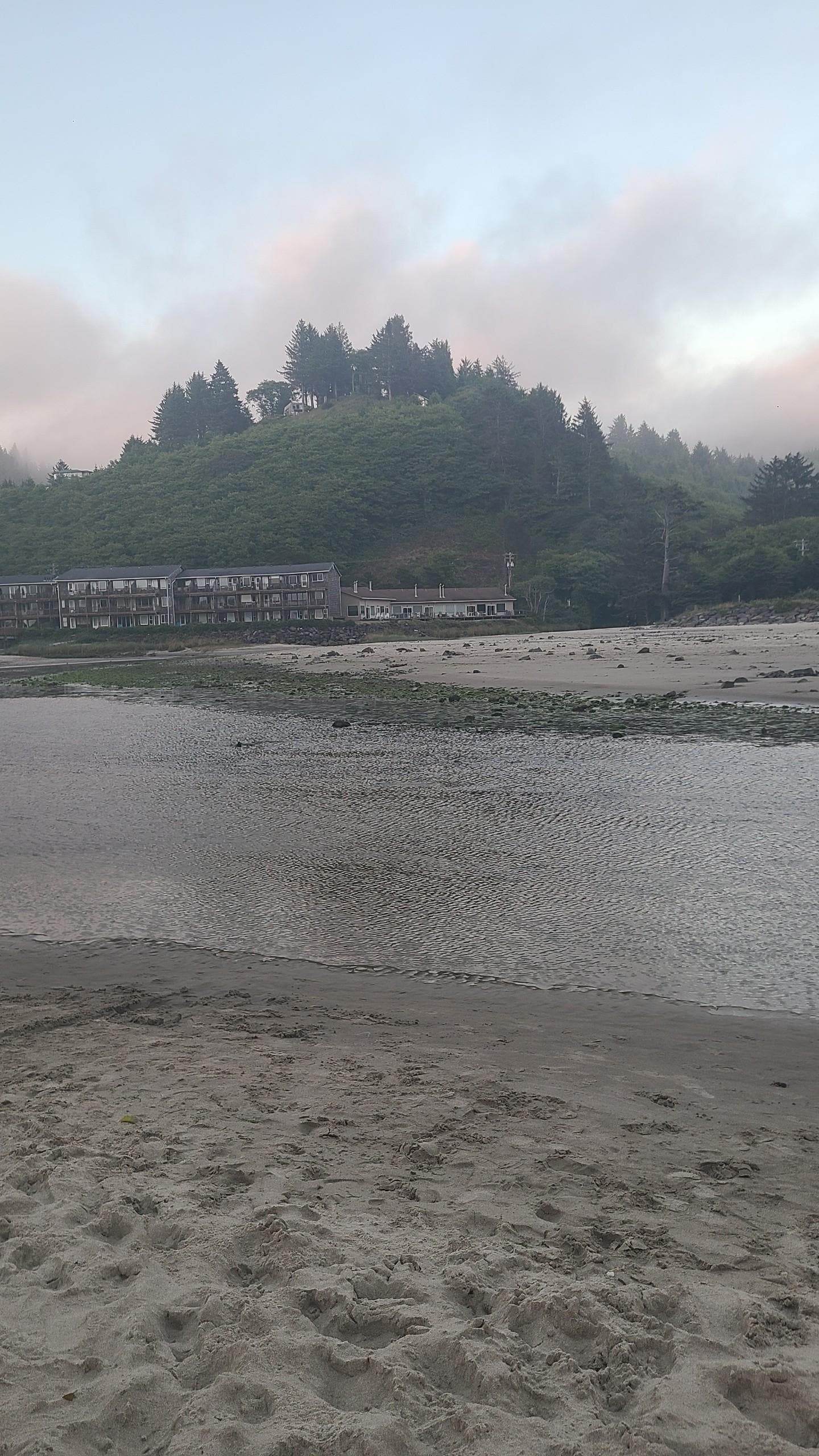 Looking back toward the unit from the beach.