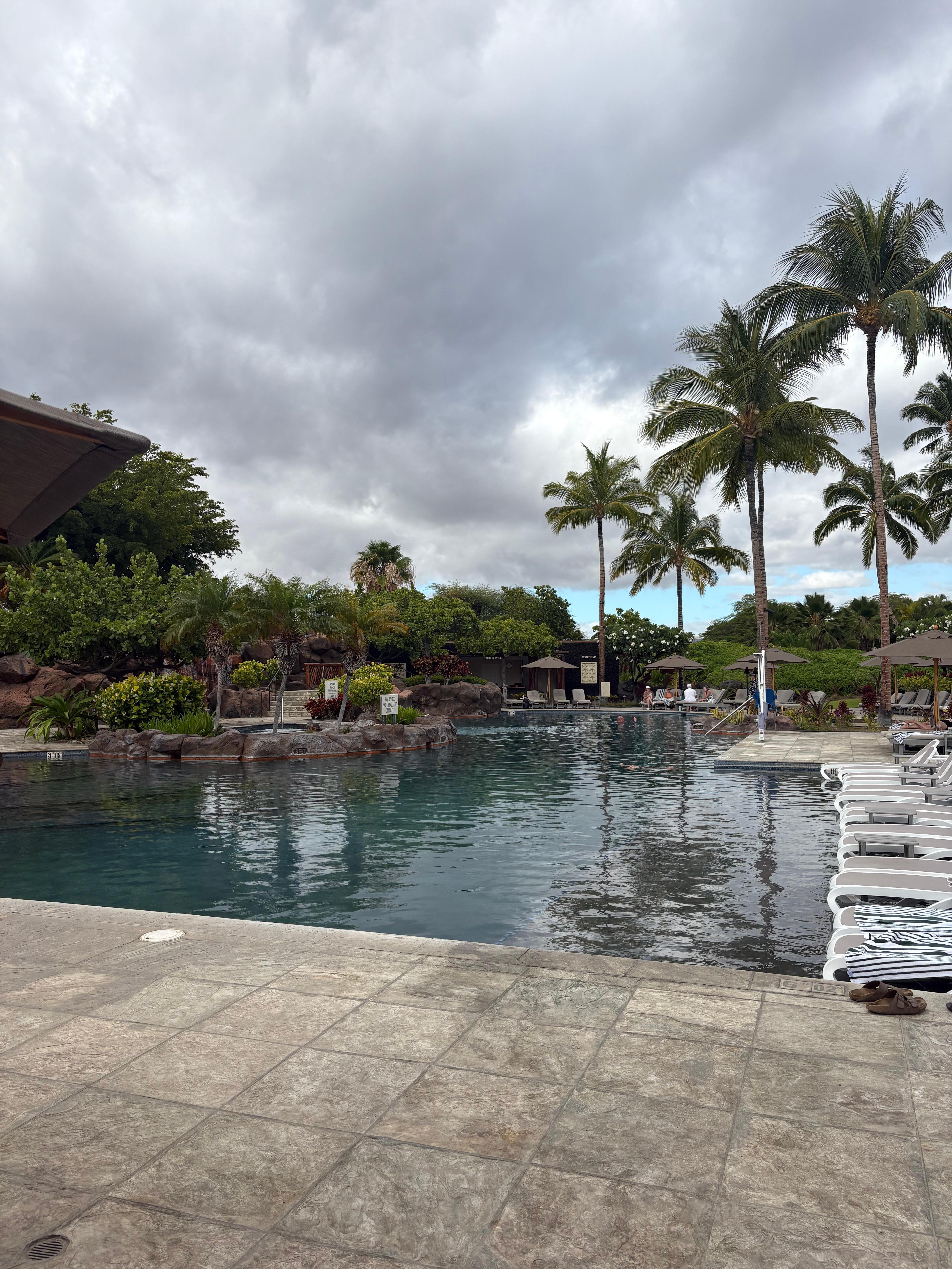 Adult pool