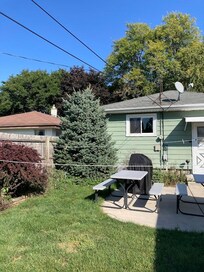 Growing Christmas tree very nice.