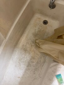 Terrible smell from the shower