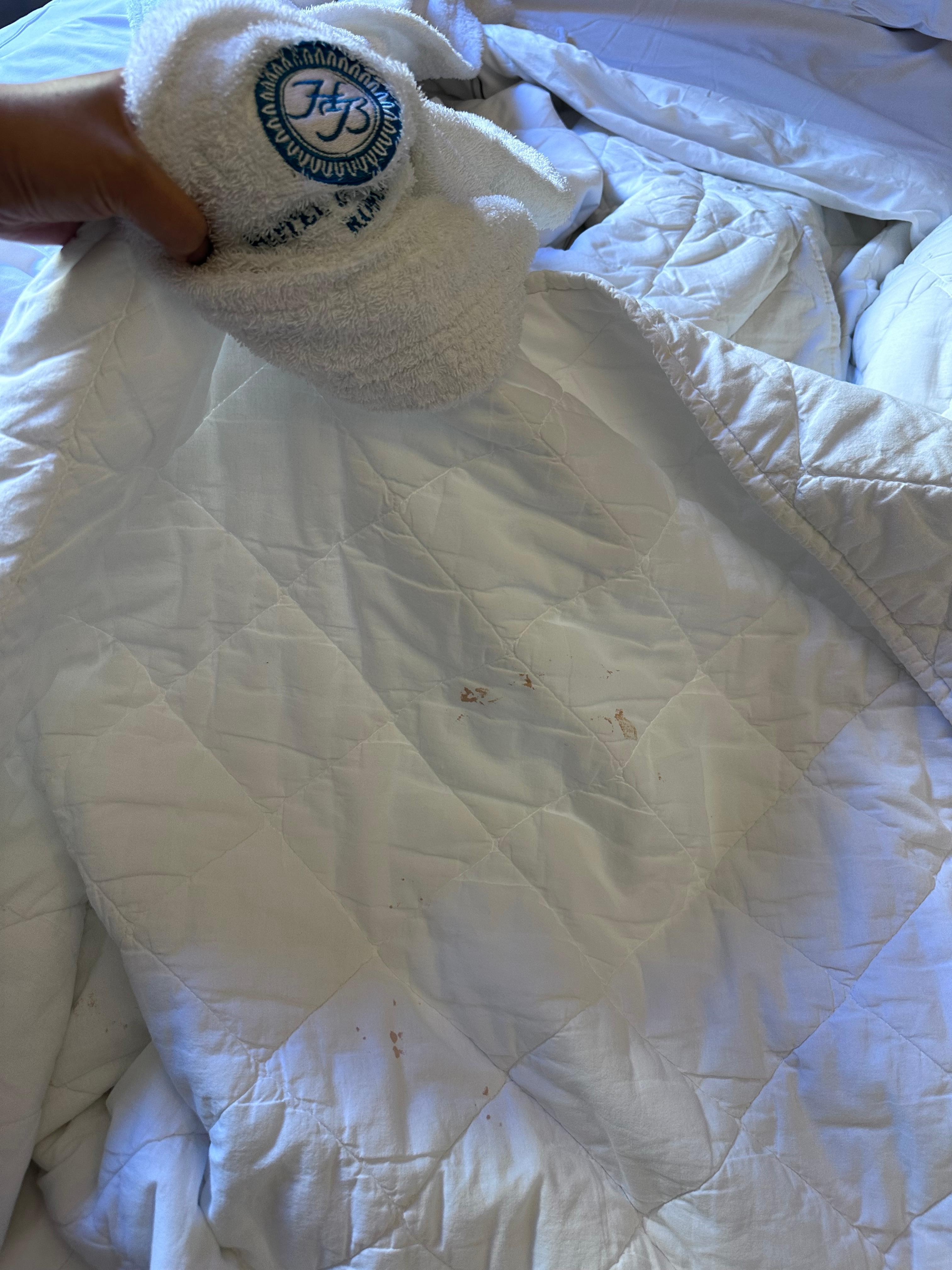 Visible blood stains on the spare duvet - noted this is needed when no heating is provided in the hotel