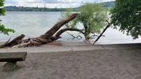 Insel Mainau