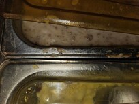 Condition of food containers at 7am in self serve breakfast bar