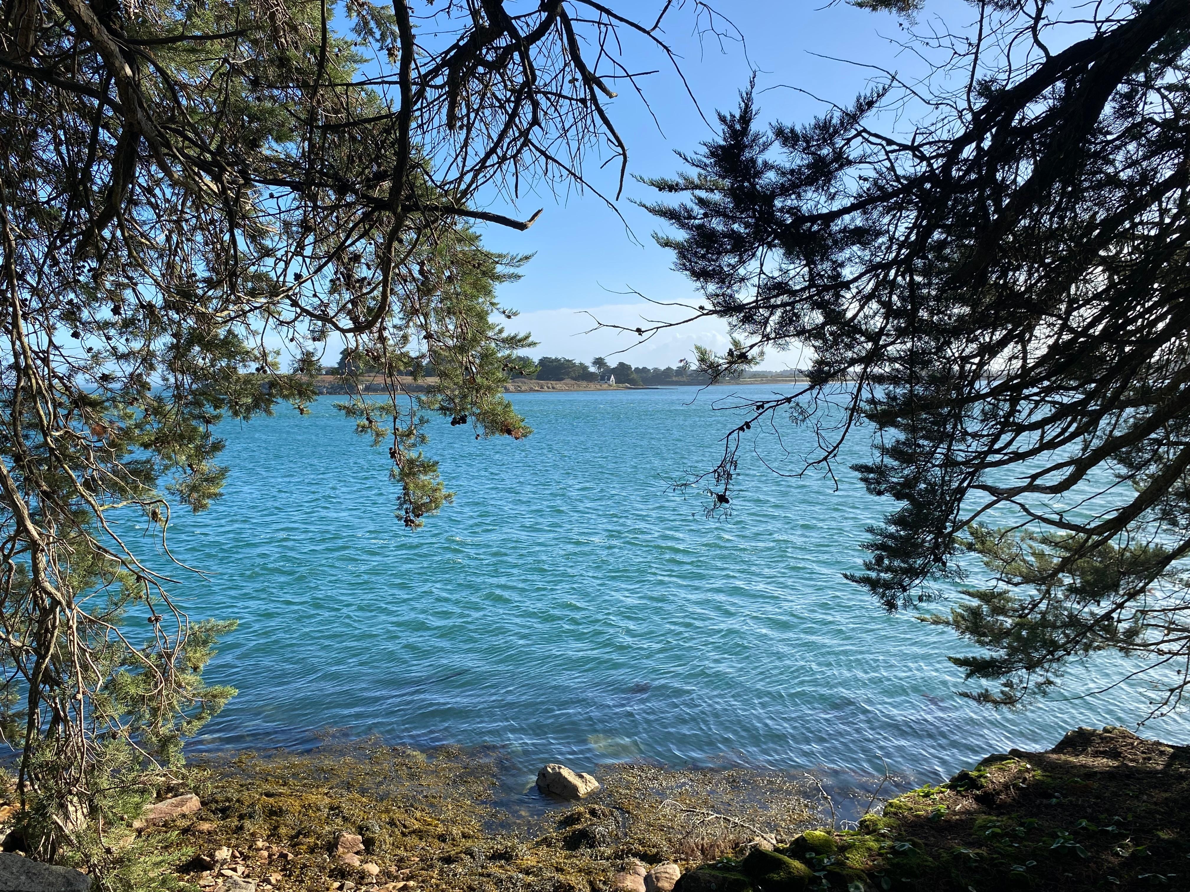 Tour de l’île aux moines 