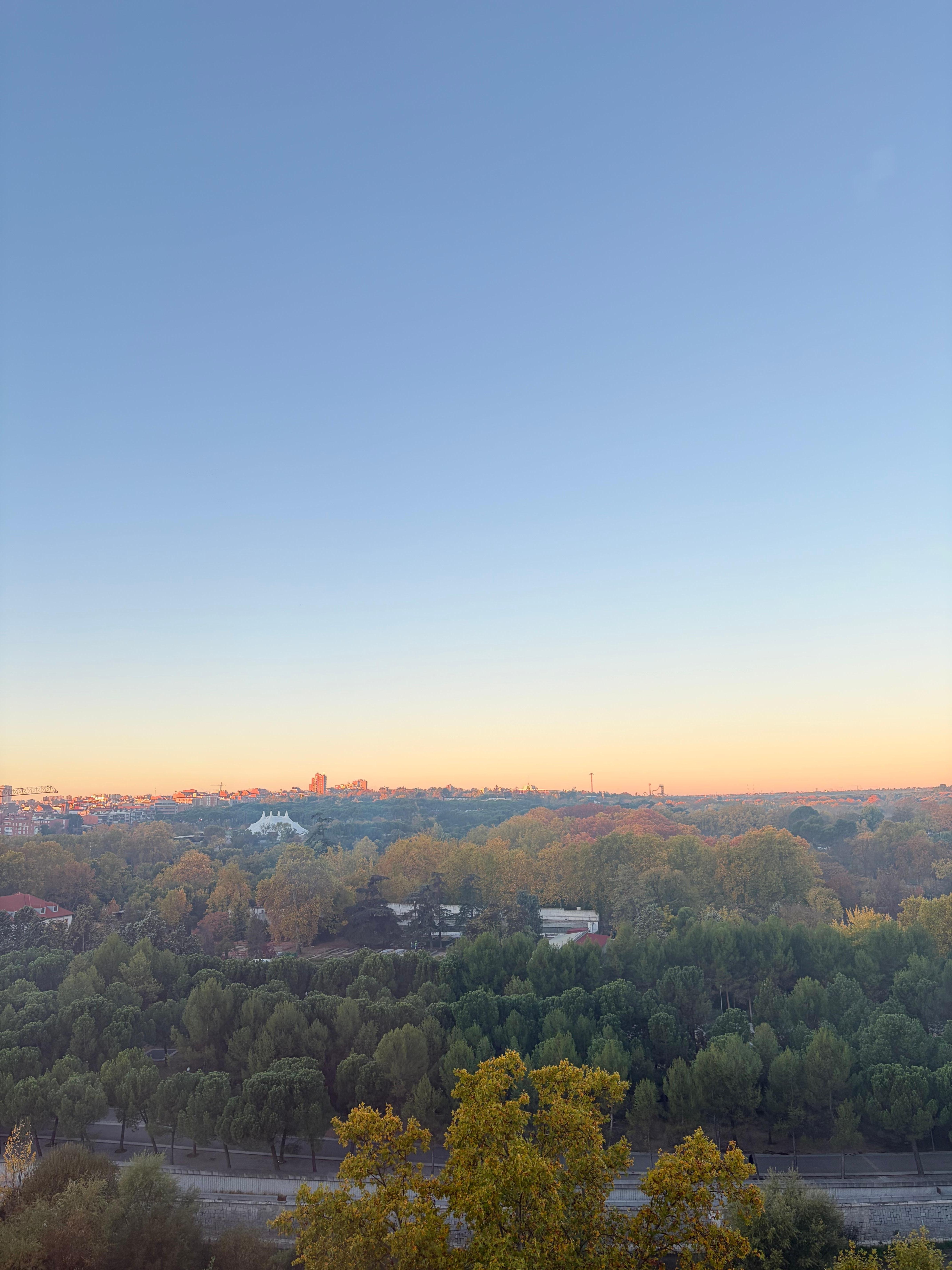 The view from the room 