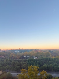 The view from the room