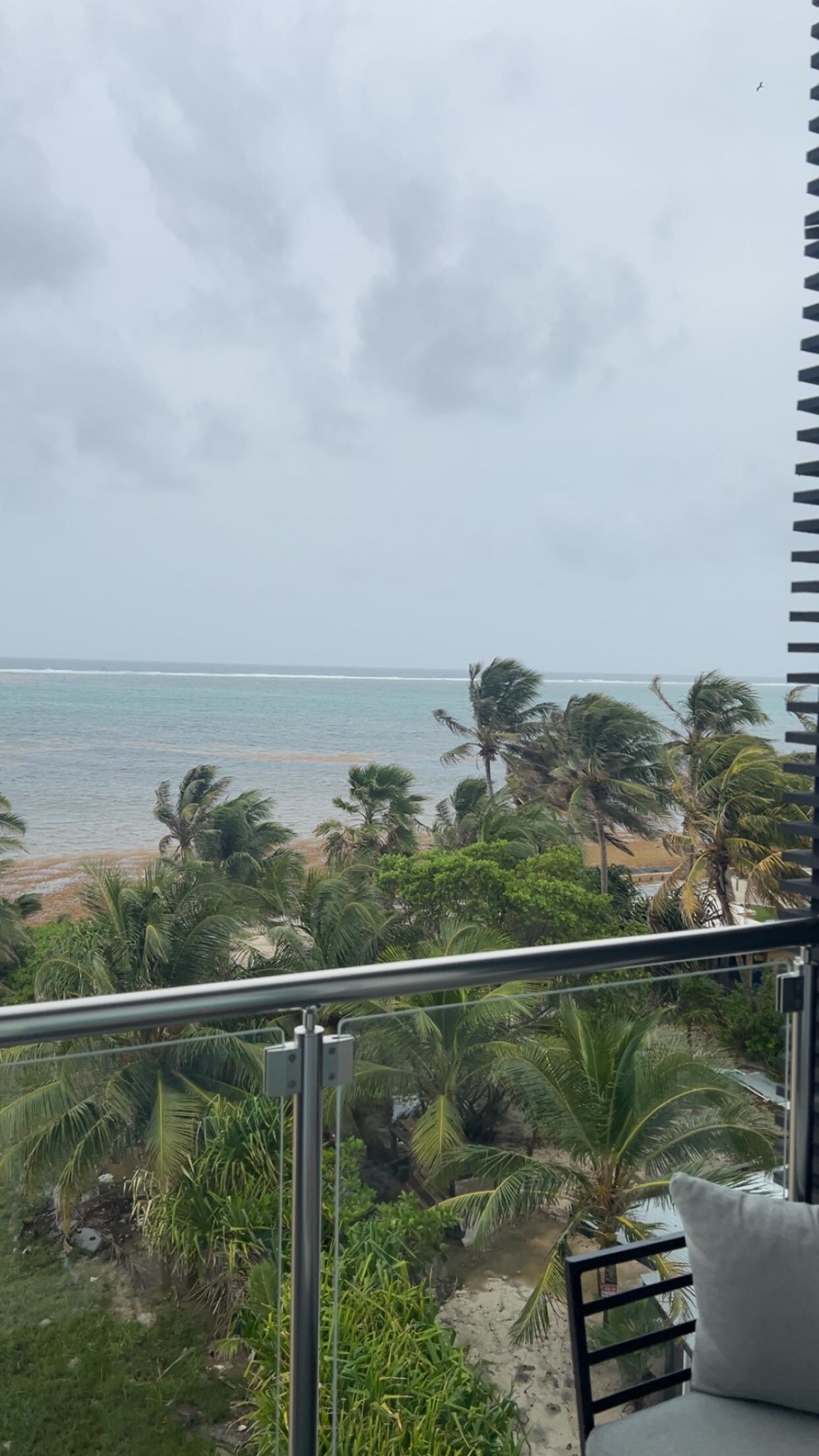 Views from room.