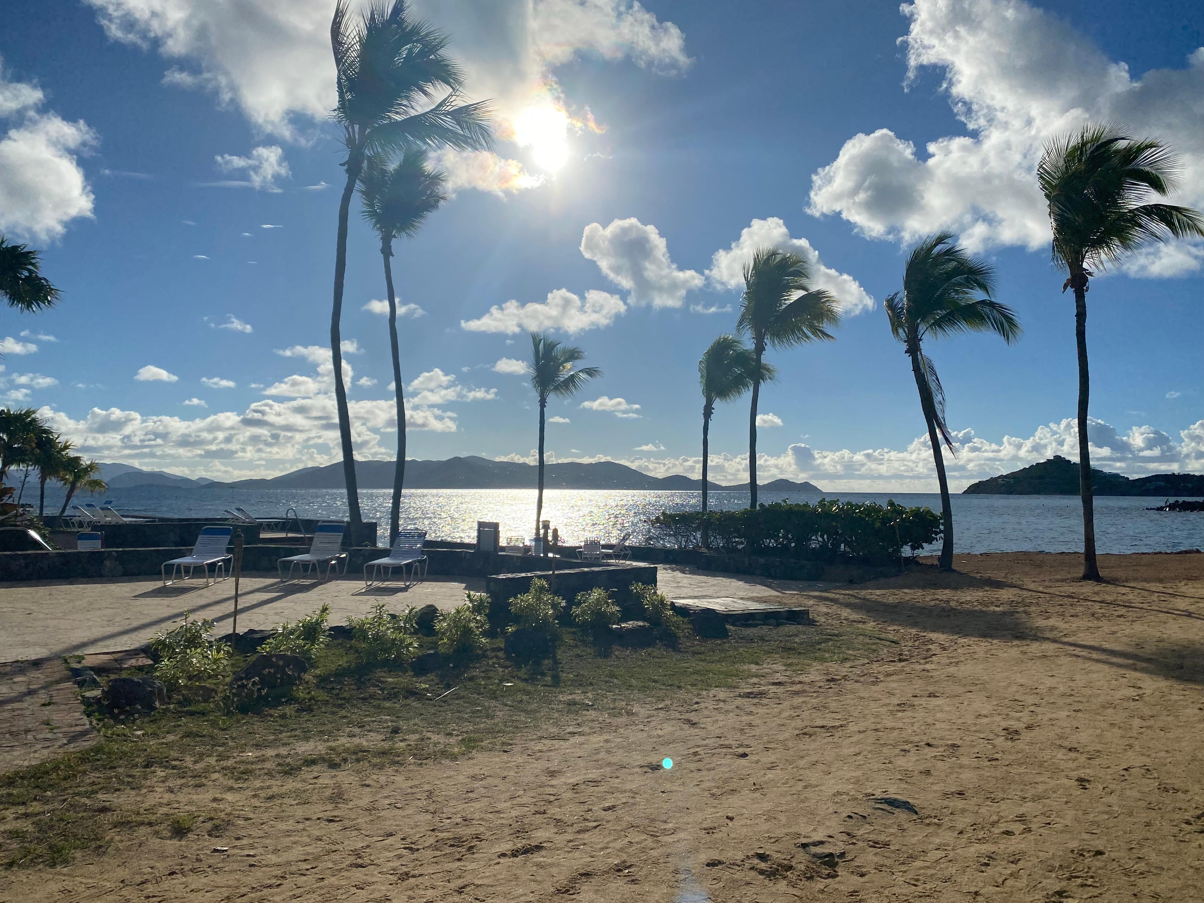 Morning view from patio.