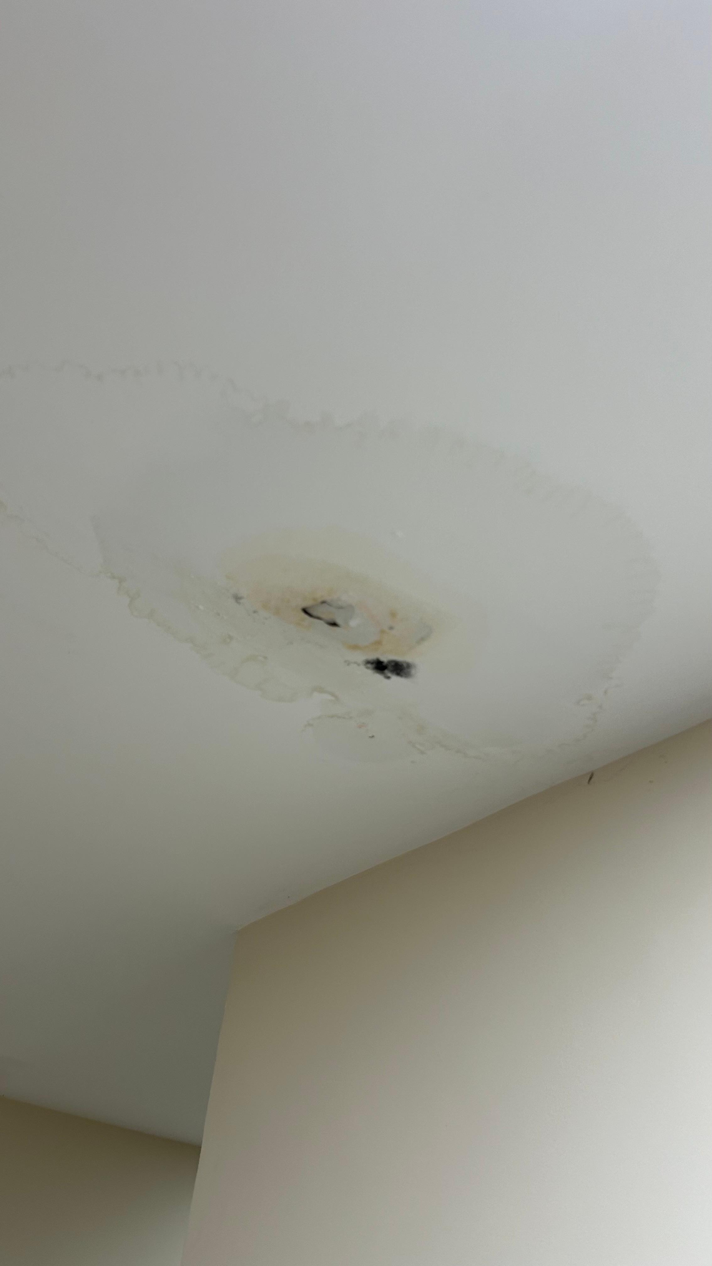 Pingueira no corredor 