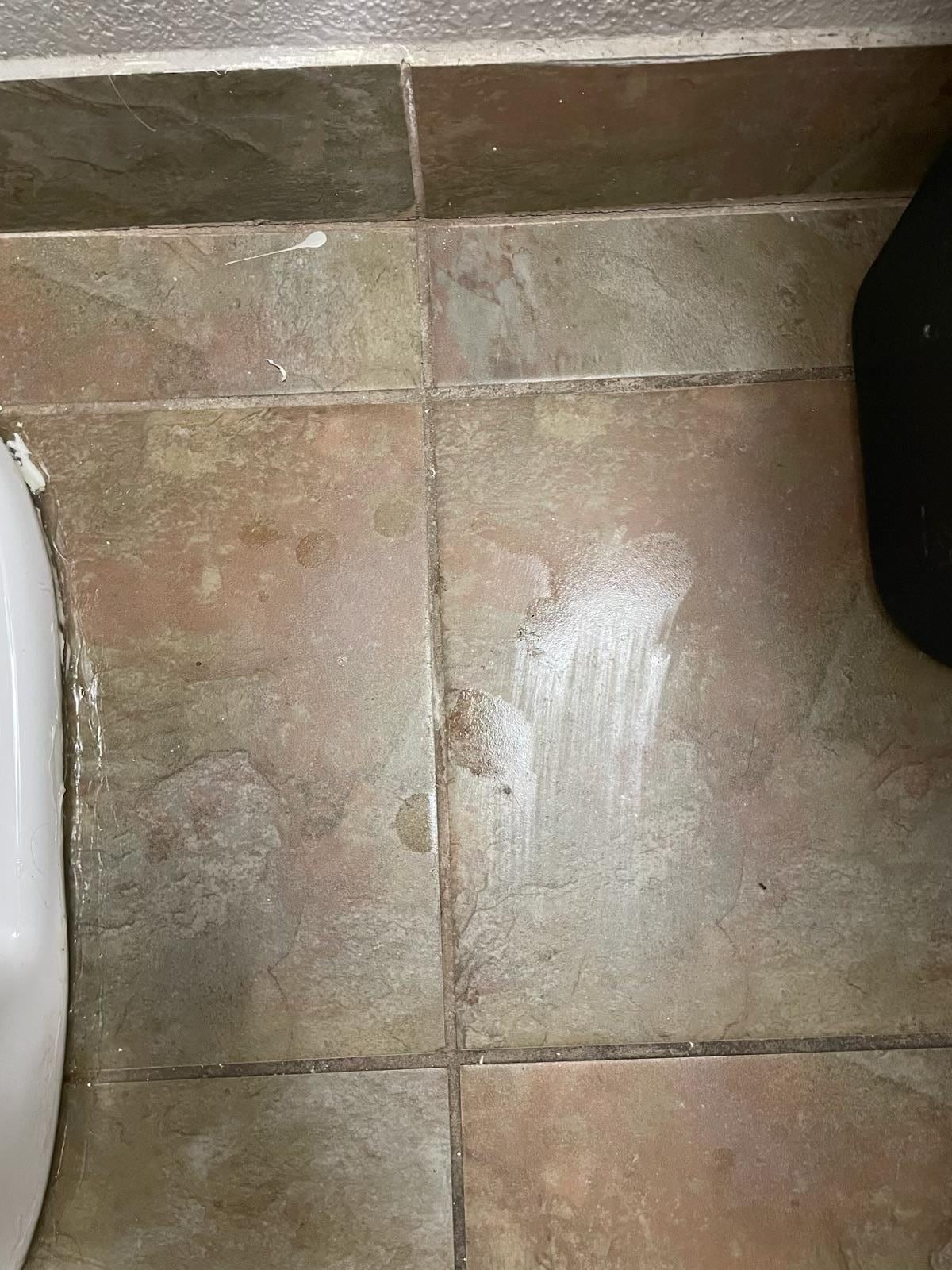 Slug smear on floor probably from the toilet overflow 