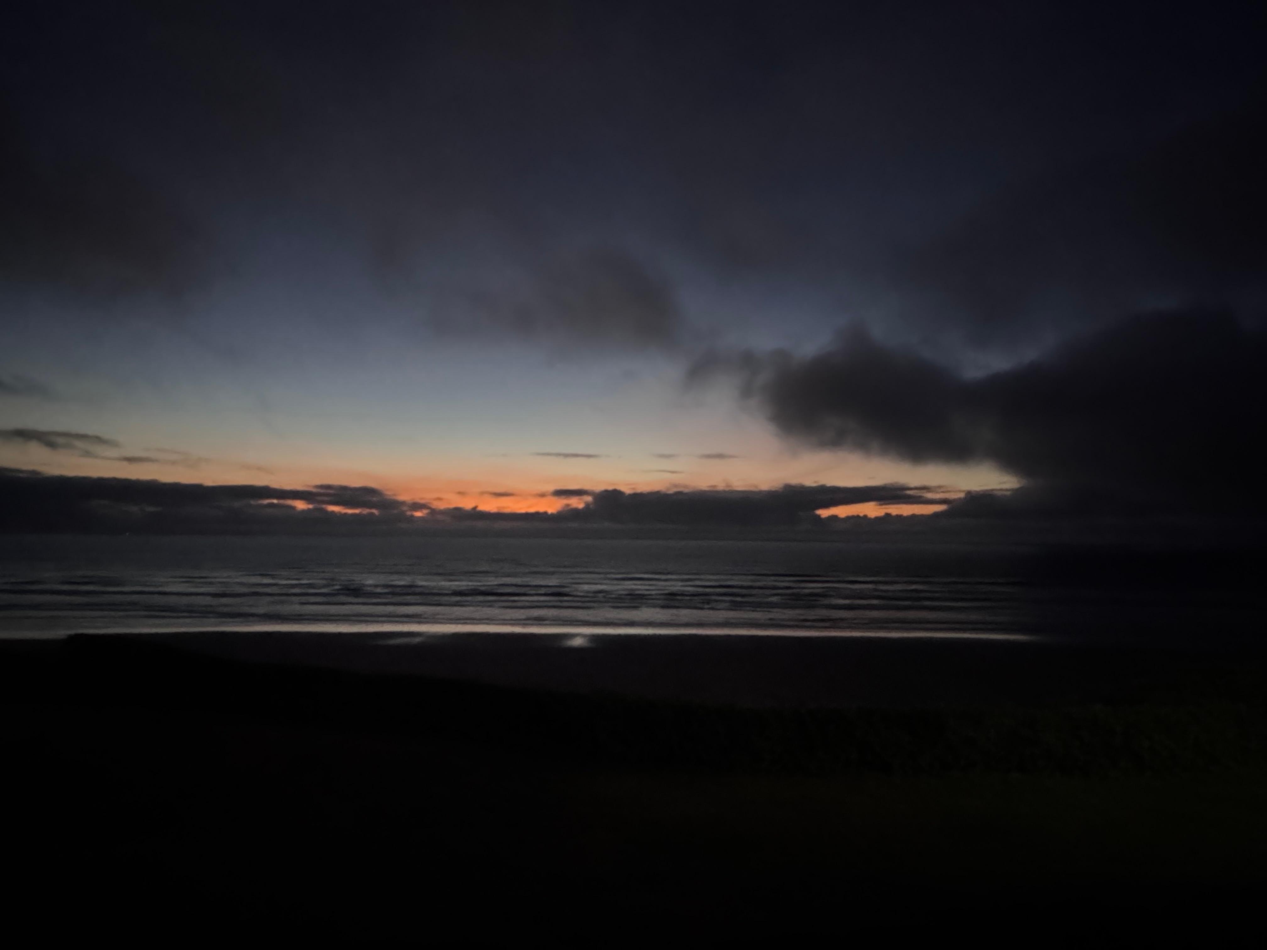 View from back porch. 