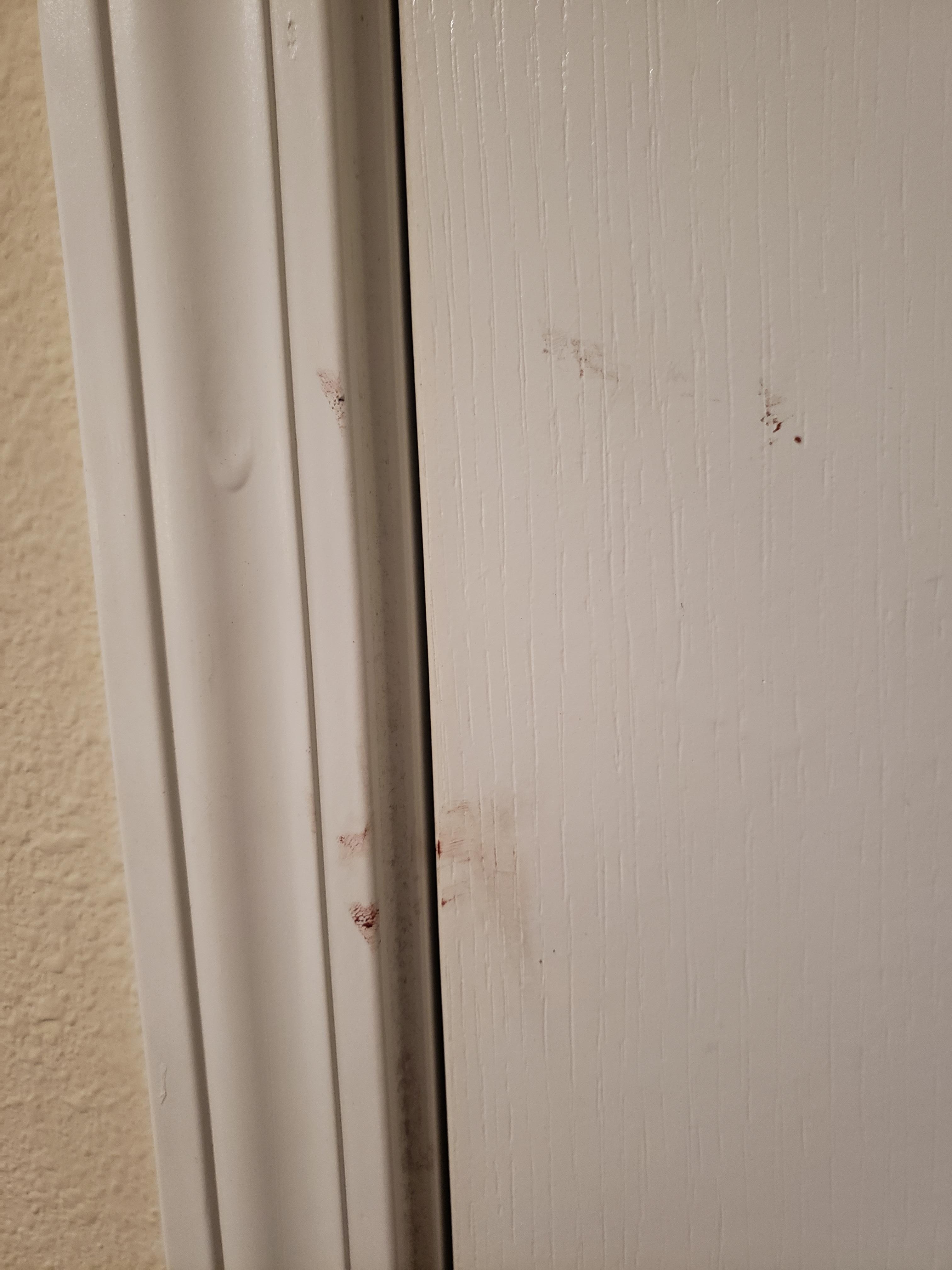 Looks like blood stains to me.