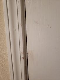 Looks like blood stains to me.