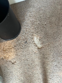 Missing patch of carpet