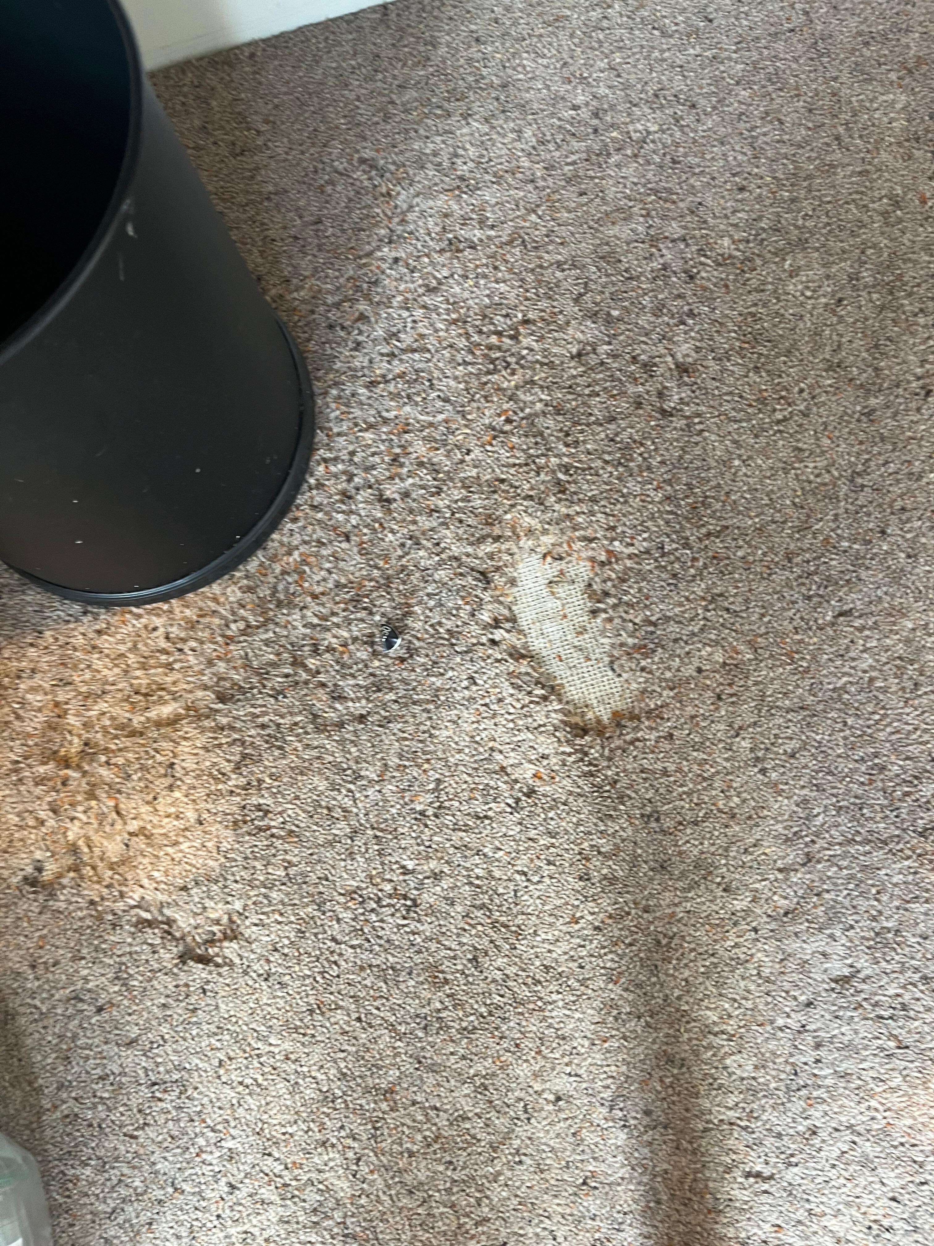 Missing patch of carpet