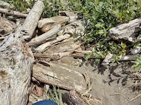 Coming back to the path the jam was even harder to cross.