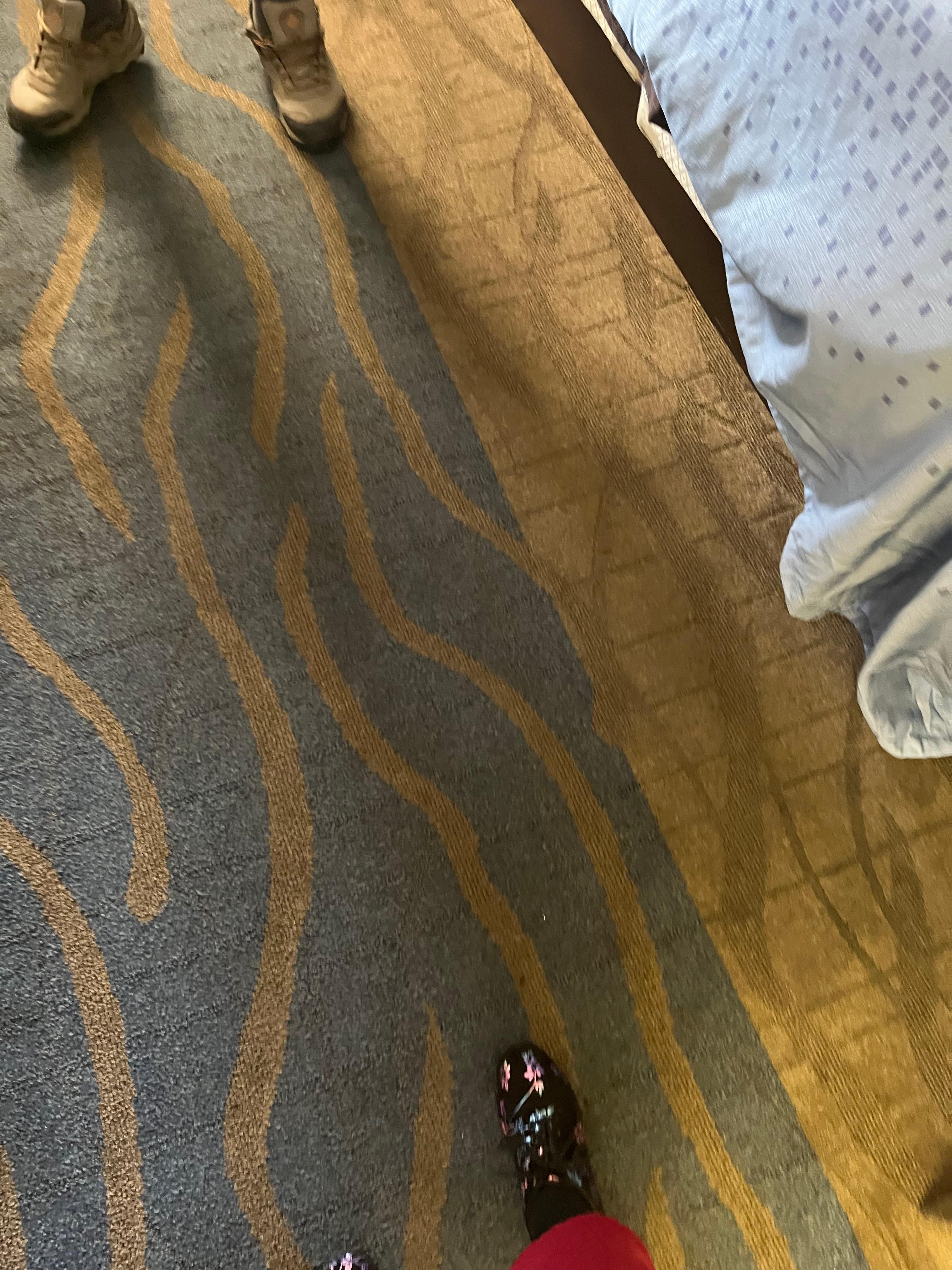 Extremely dirty carpet 