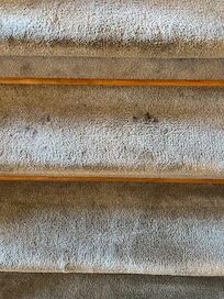 Carpet stains on stairs