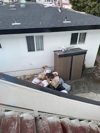 Here is the pile of trash below the stairs