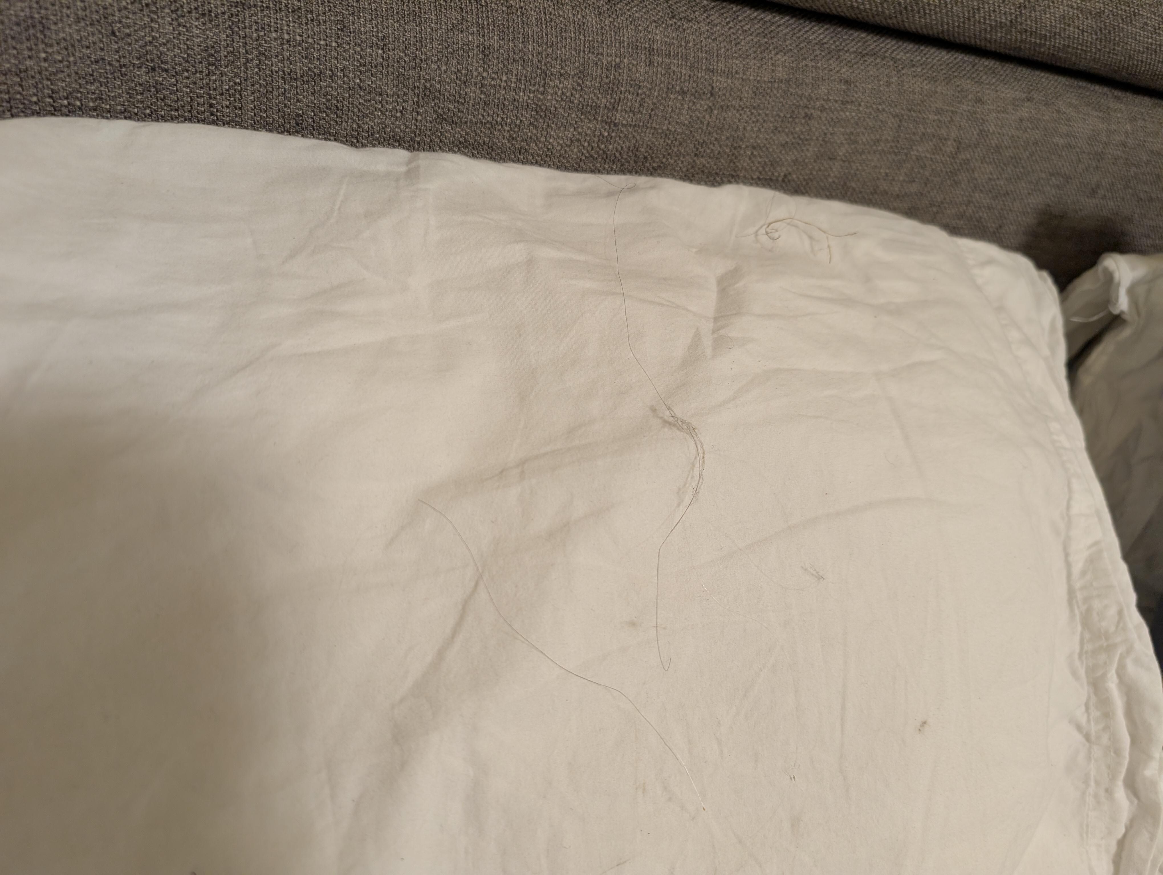 Dirt and hair on the pillow