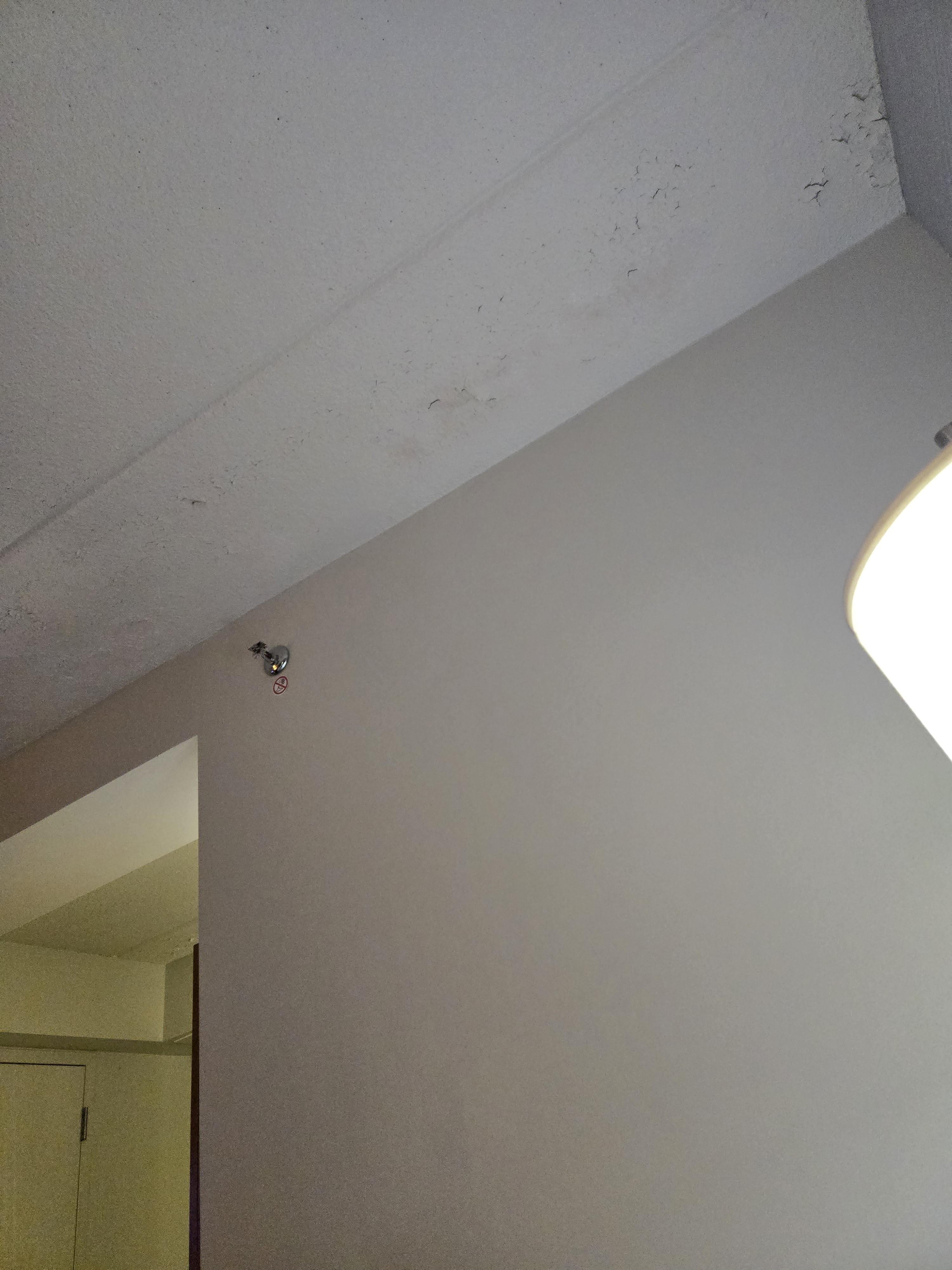  The whole ceiling in the room was like this!