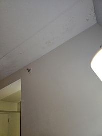 The whole ceiling in the room was like this!