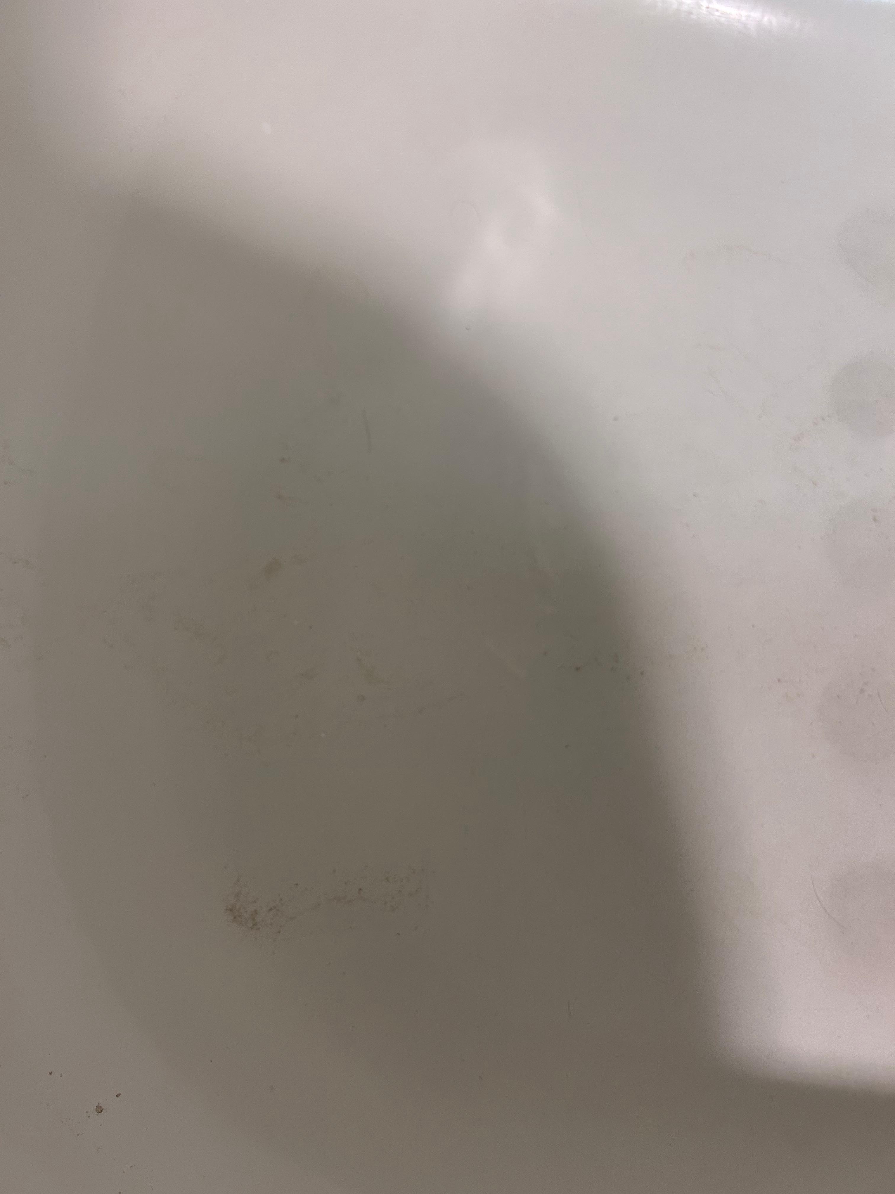 Grime on the bathtub UPON arrival