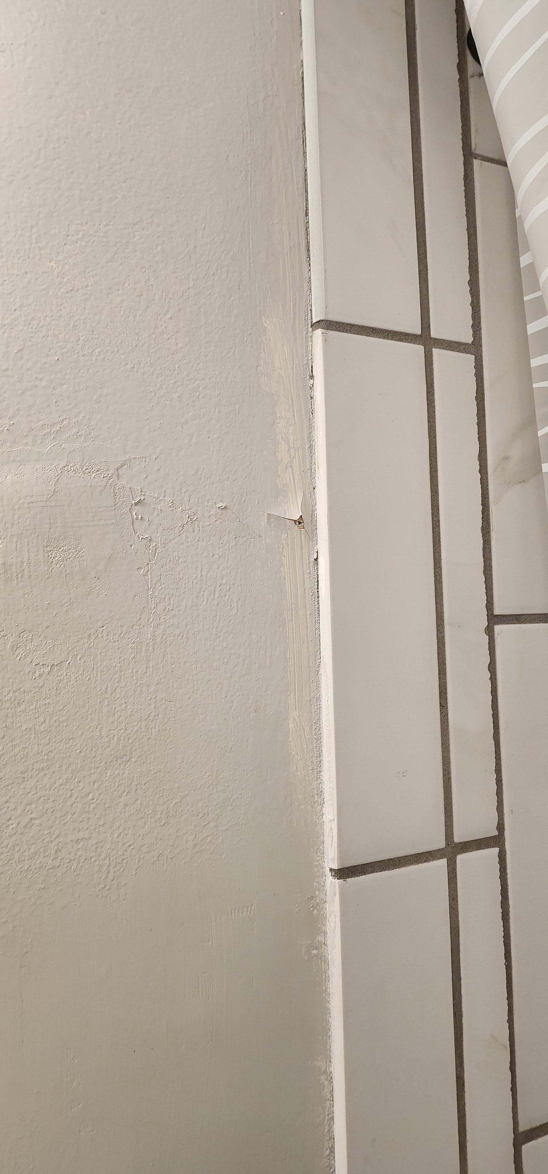 Master bath unfinished painting 