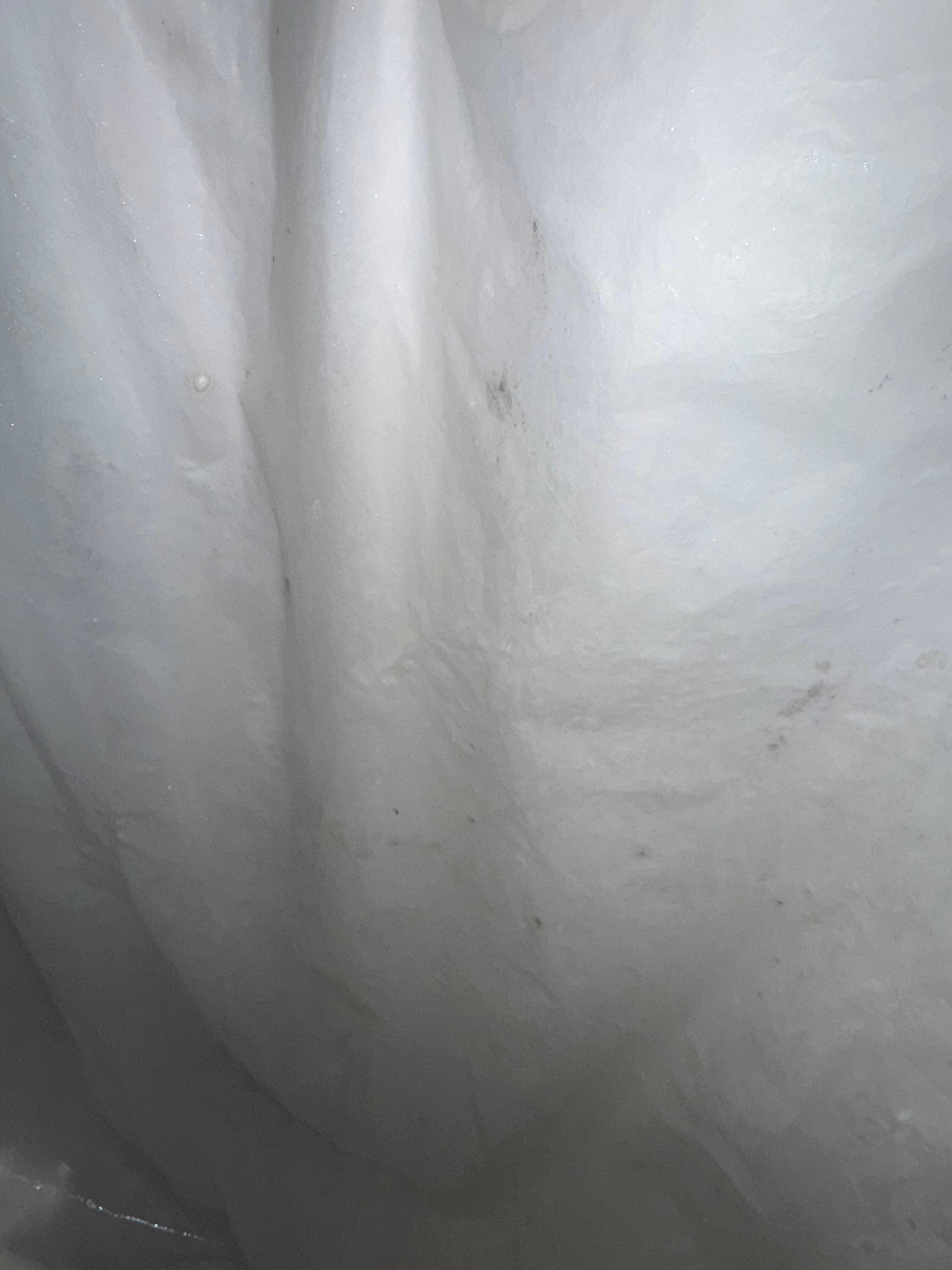 black mold on shower curtains 