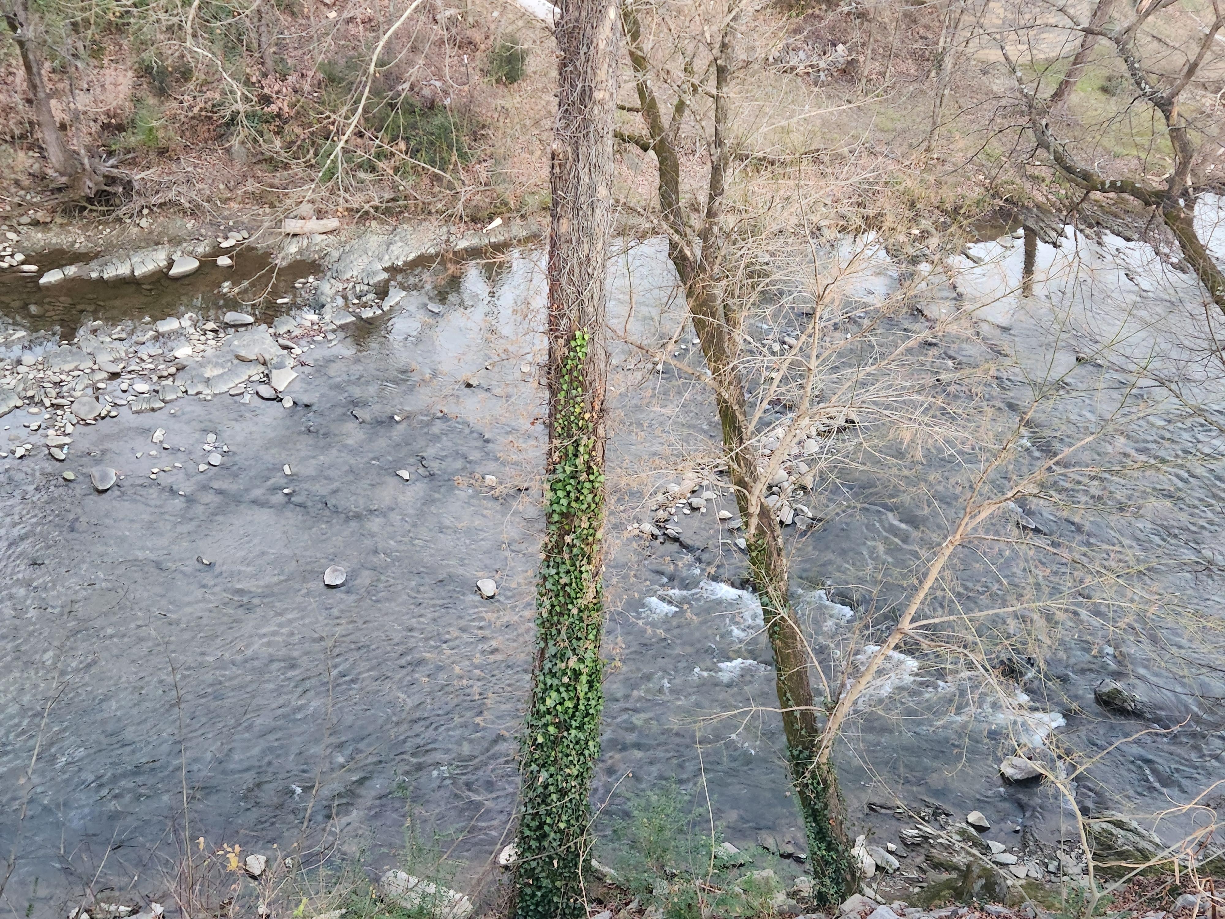 Creek beside property 