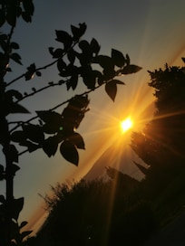 Lever de soleil, vue du studio