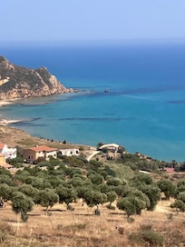 View from back garden