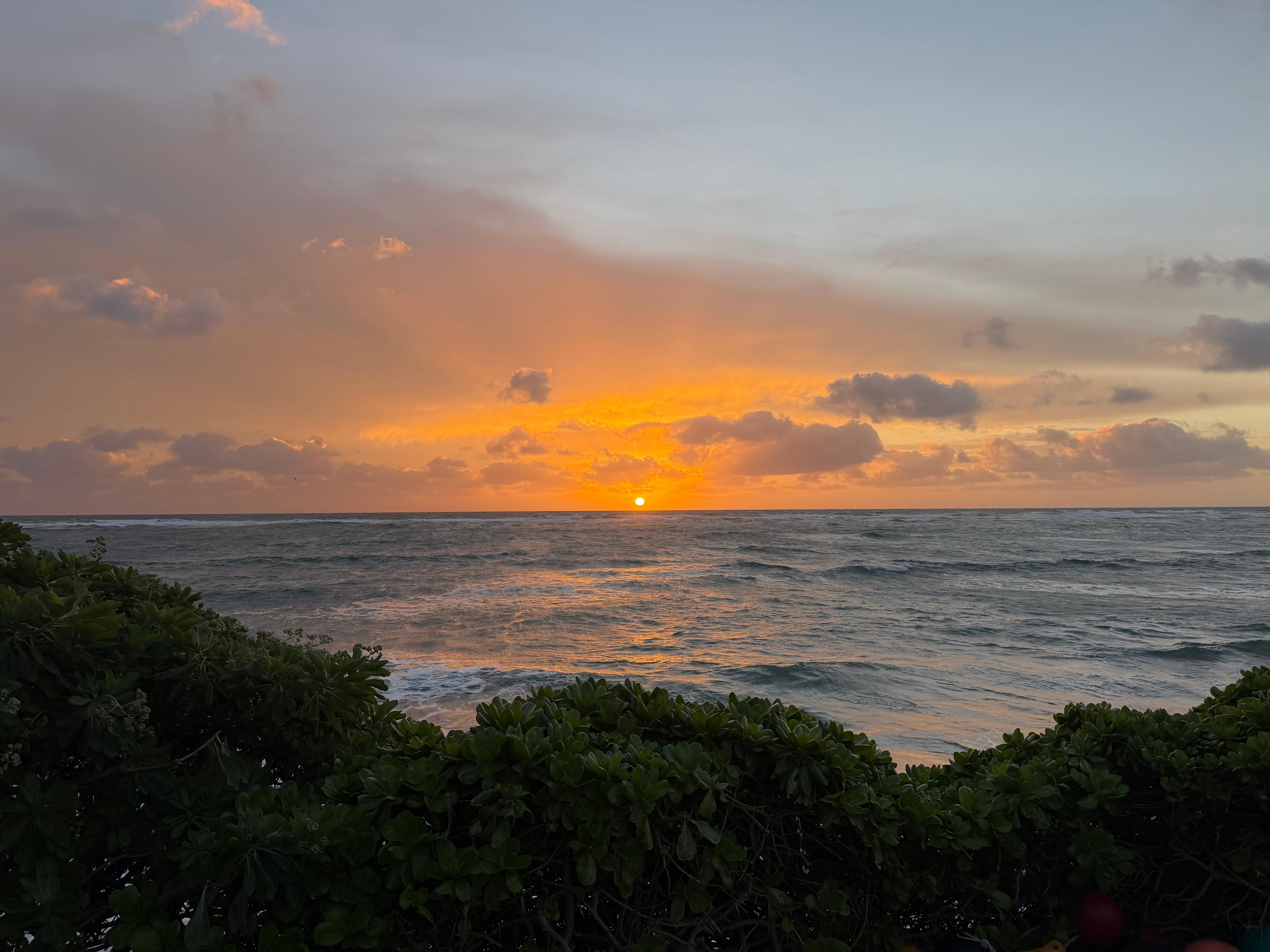 One of many beautiful sunrises seen from the back deck 