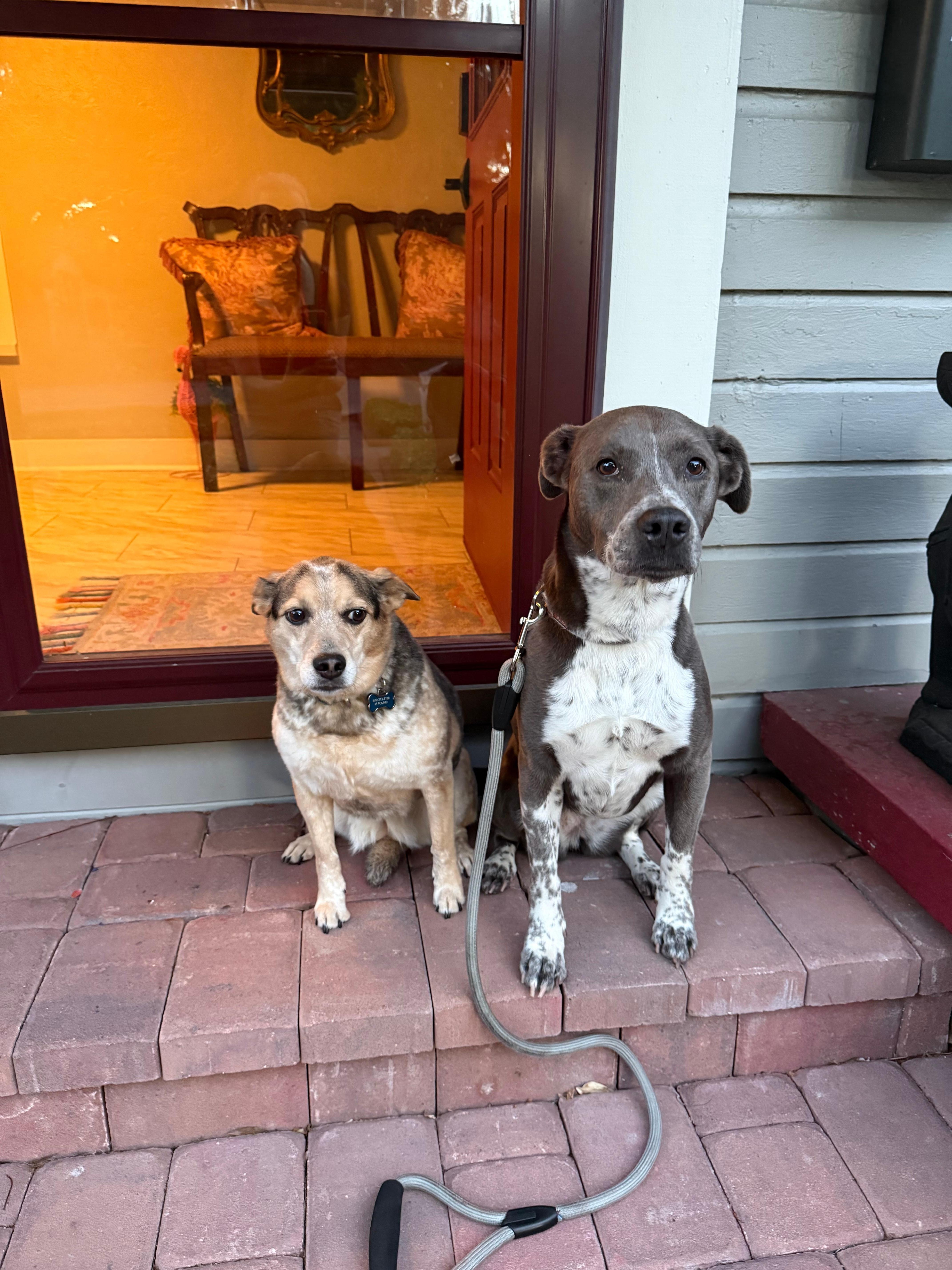 Farewell and thank you for a lovely stay.